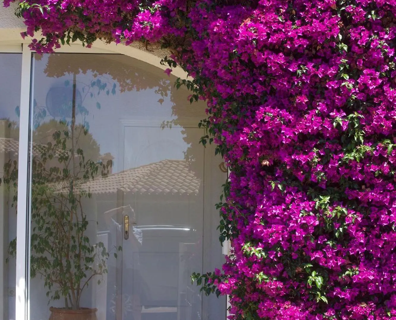 Villa Mediterranea Calafat